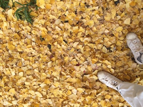 20161120blog
